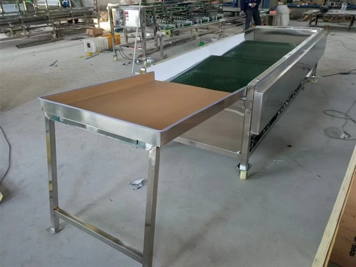 Blueberry Sorting Grading Machine
