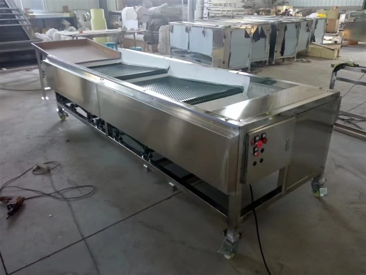 Blueberry Sorting Grading Machine