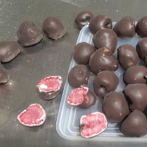 chocolate covering machine 1 chocolate covering machine 1