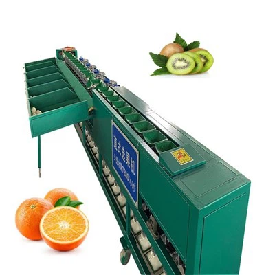 Avokádó sárkánygyümölcs válogató gép