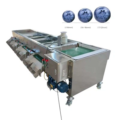 Gyümölcsválogató gép Blueberry Grader