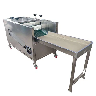 Shiitake gomba vágógép